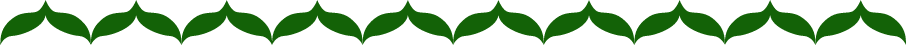 Divider Image