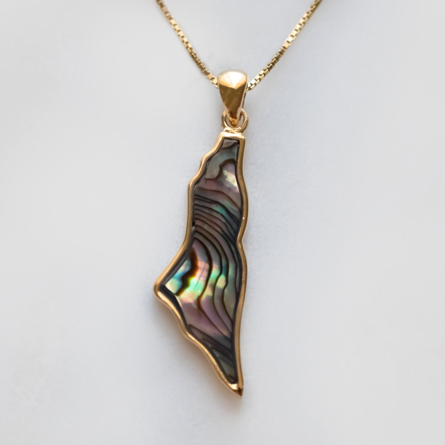 Palestine Map Mother of Pearl Stone Pendant